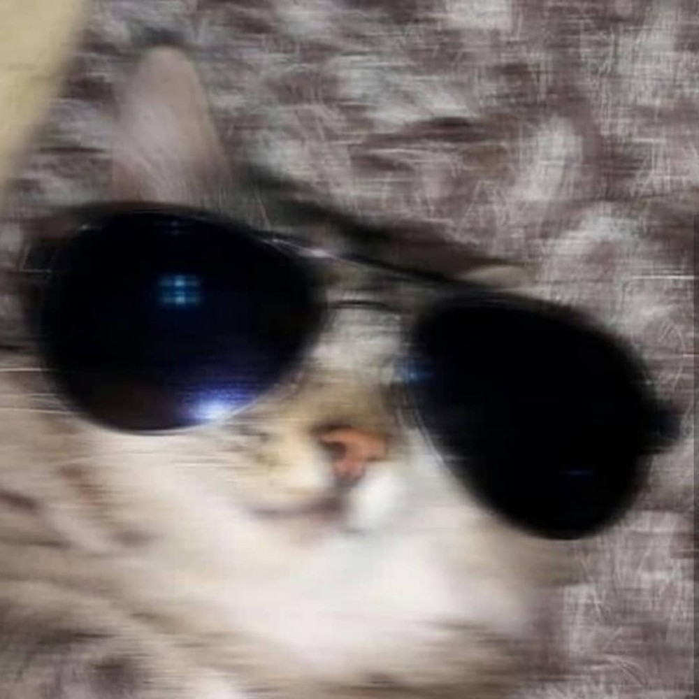 Meet your Posher, Cole